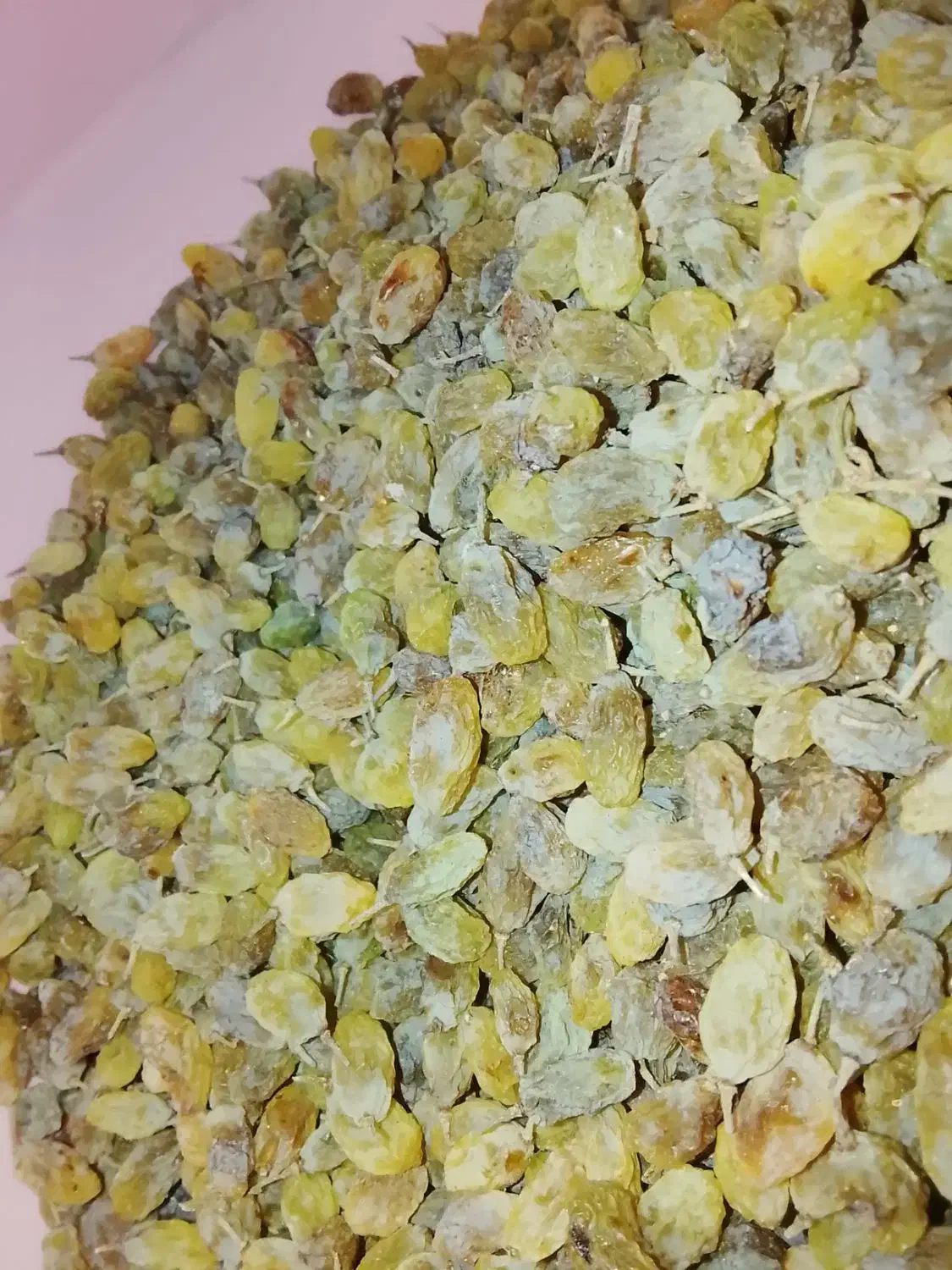 کشمش سبزه|خوردنی و آشامیدنی|خنداب, |دیوار