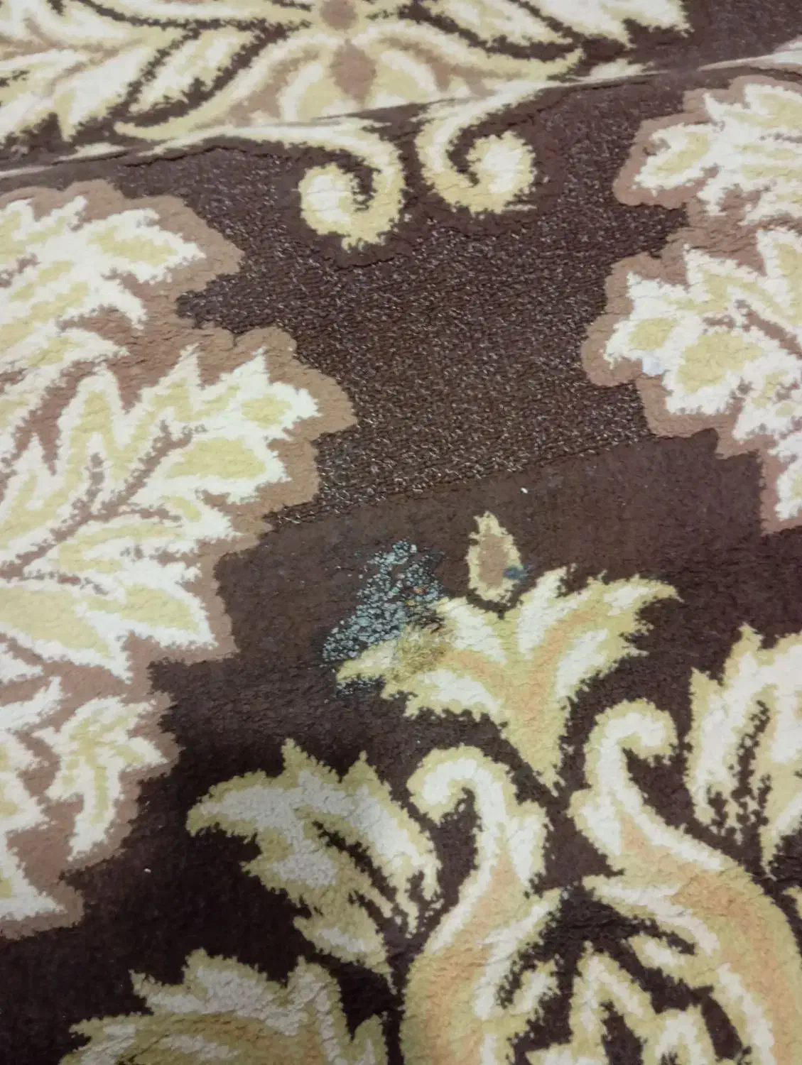 گلیم|گلیم، جاجیم، گبه|اسلام‌‌آباد غرب, |دیوار