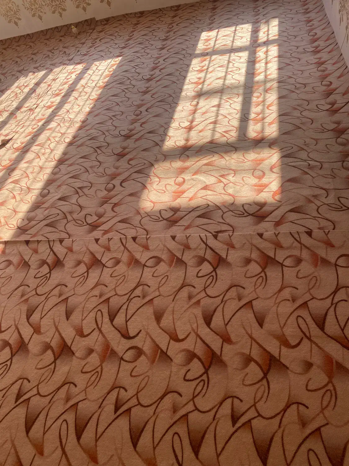 سه عدد موکت به اندازه حدود ۵۰متر|موکت|مرند, |دیوار