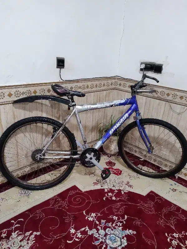 دوچرخه|دوچرخه، اسکیت، اسکوتر|میان ولایت, |دیوار