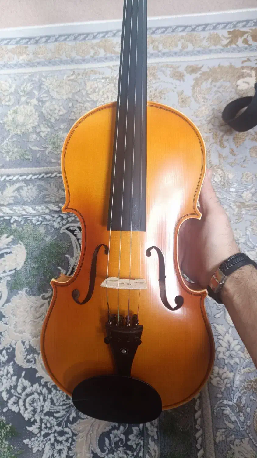 ویولن|ویولن|سنندج, |دیوار