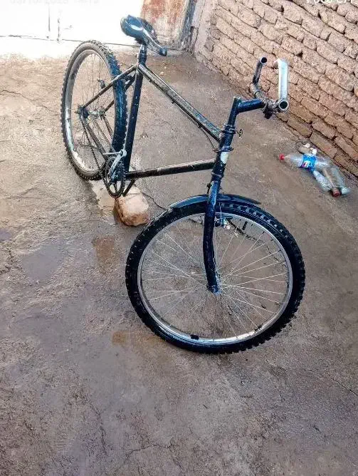 دوچرخه|دوچرخه، اسکیت، اسکوتر|تربت جام, معدآباد|دیوار