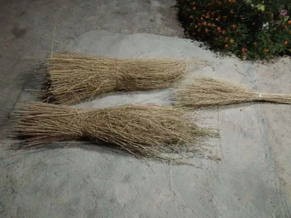 جارو خانگی|لوازم نظافت|خانمیرزا, |دیوار