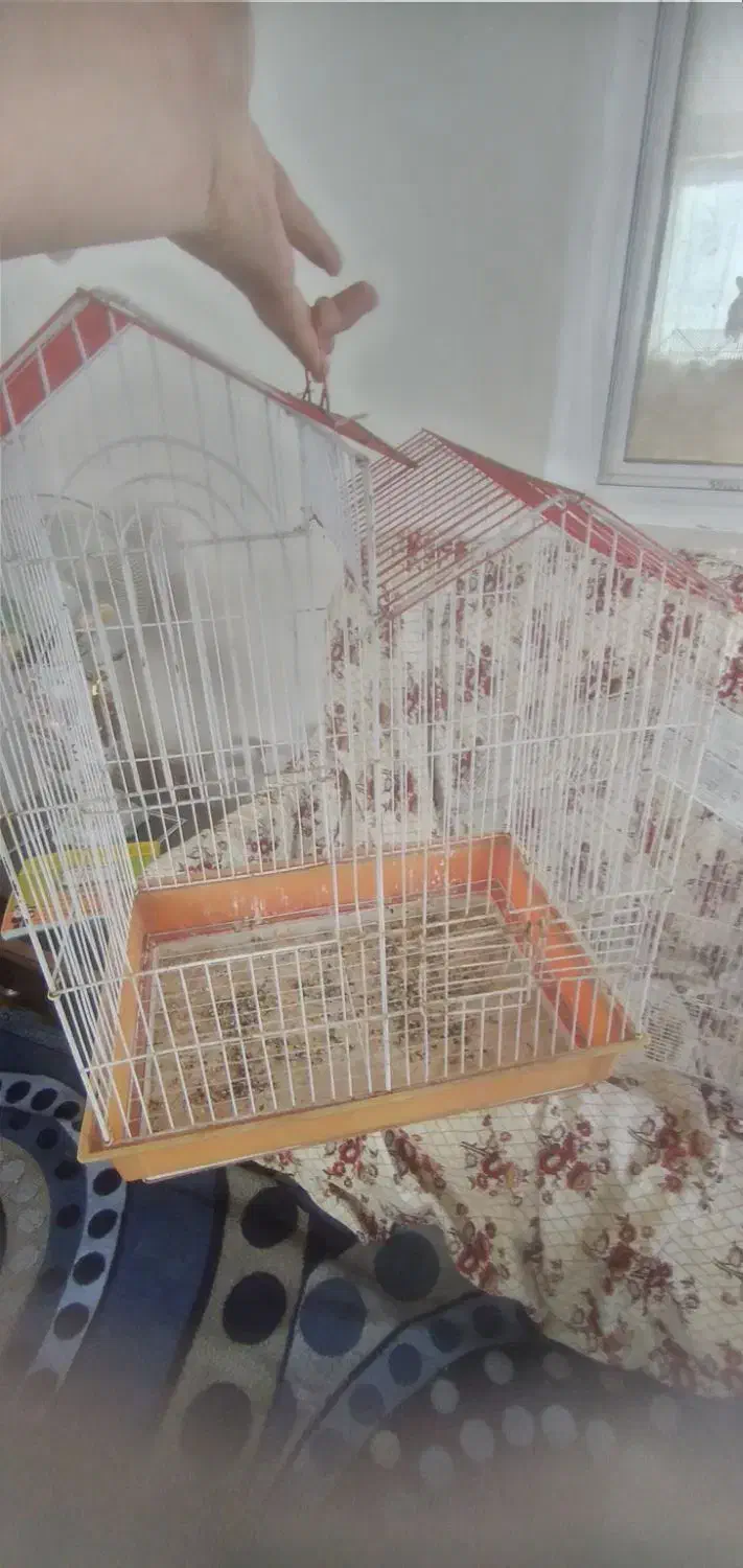 ۸ عدد قفس|لوازم جانبی حیوانات|مشگین شهر, |دیوار
