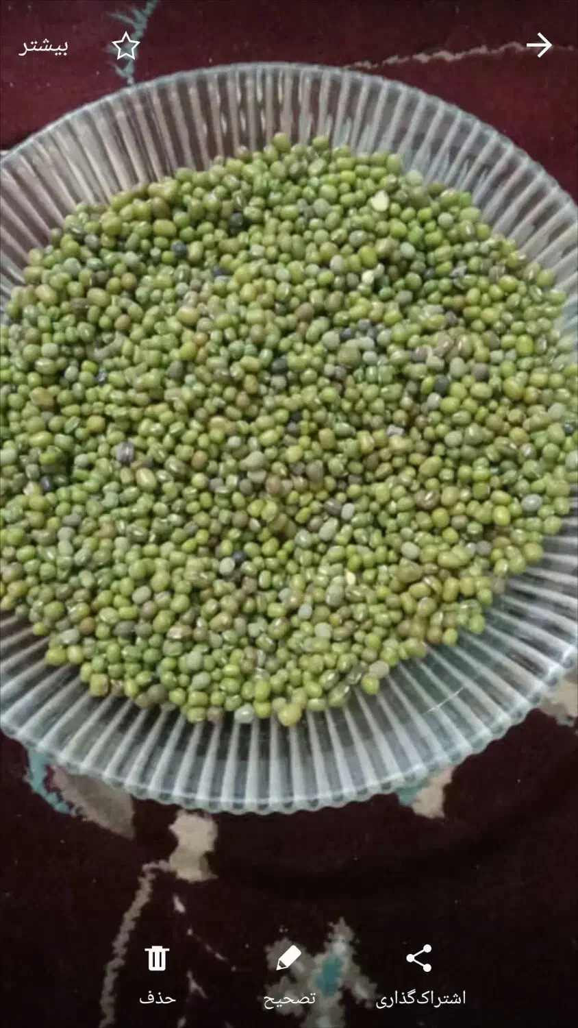 ماش|خوردنی و آشامیدنی|ایلام, |دیوار