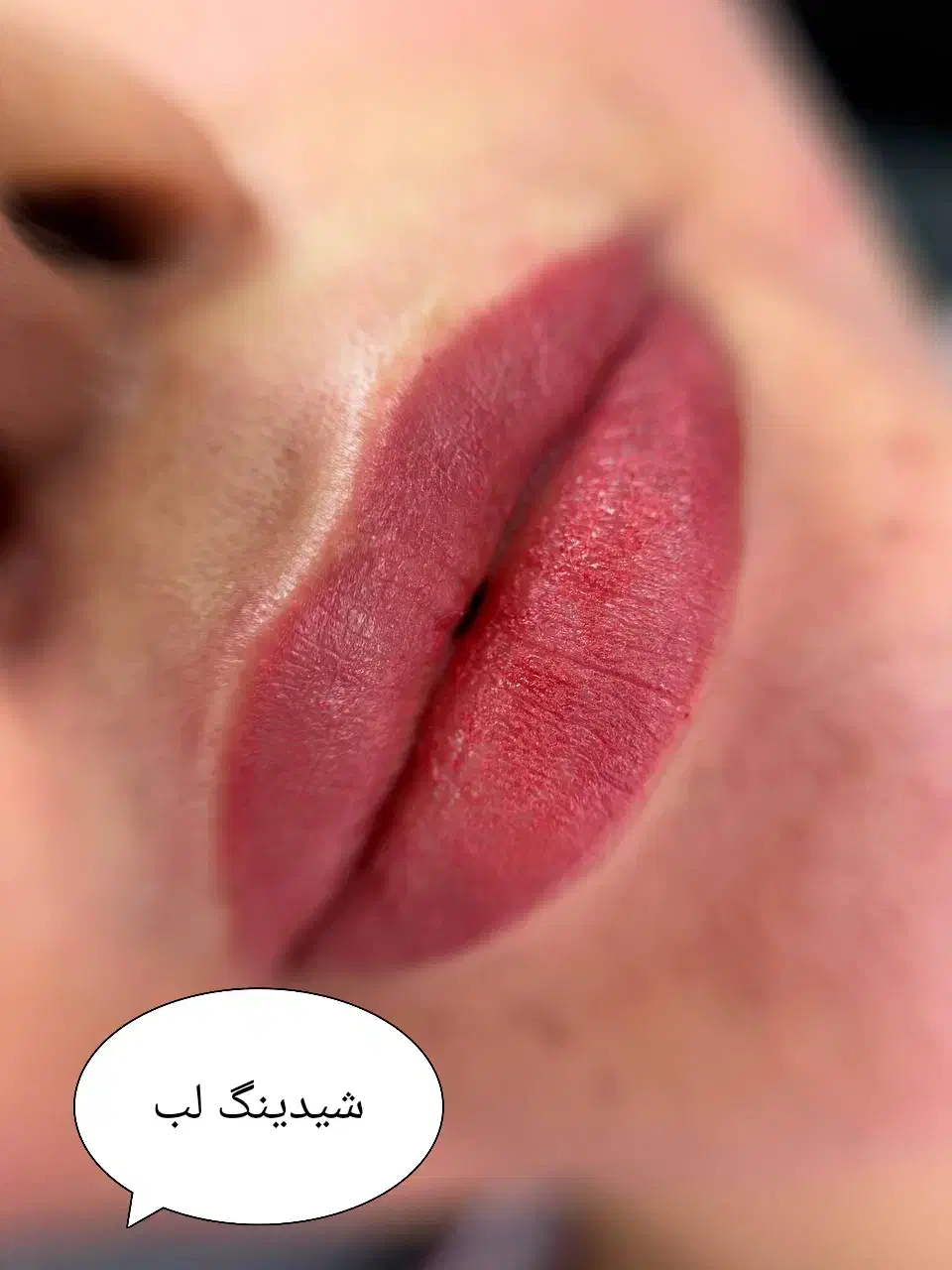 آرایش دائم (حرفه ای باش)|خدمات آرایشگری و زیبایی|سبزوار, امیر کبیر|دیوار