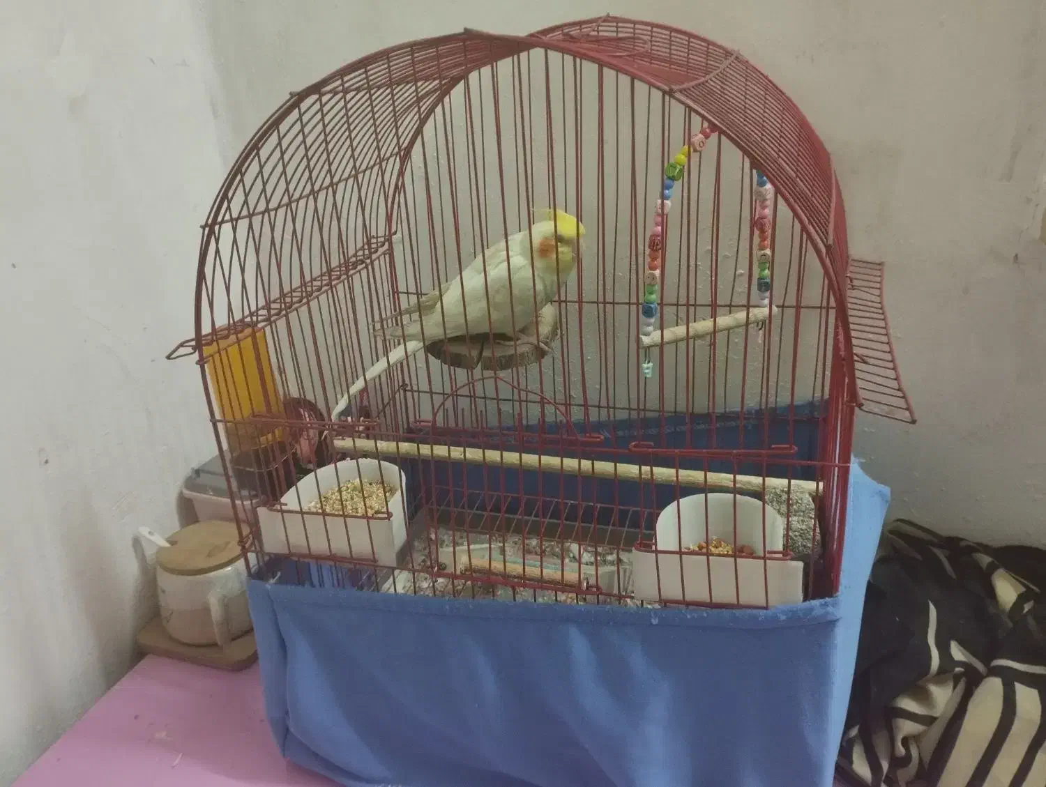 قفس|لوازم جانبی حیوانات|تهران, خزانه|دیوار