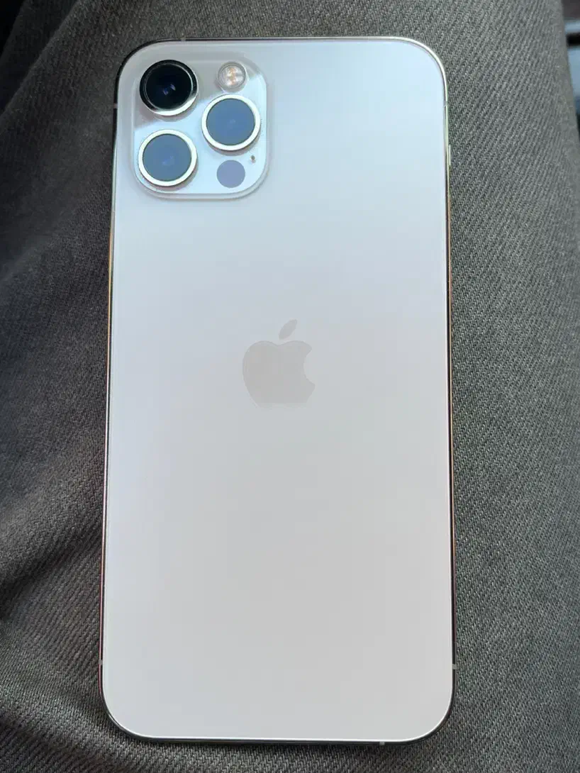 ایفون ۱۲پرو|موبایل|نیشابور, میدان حافظ|دیوار