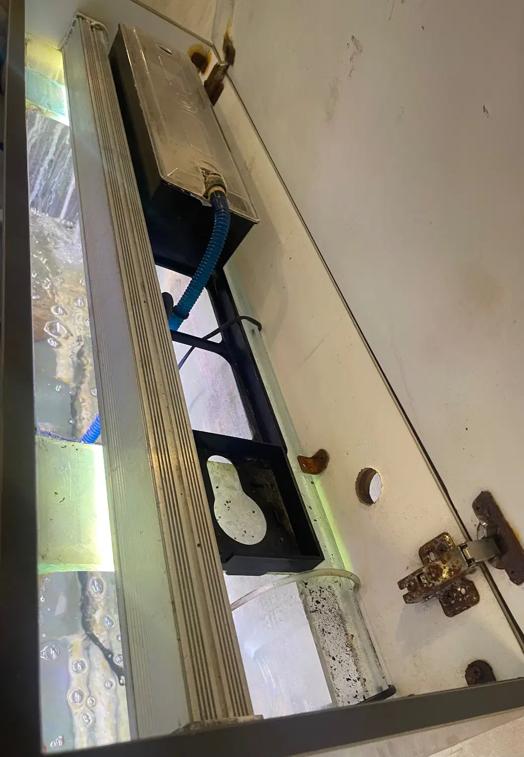 آکواریومشیشه خم 120/40/80cm|لوازم جانبی حیوانات|اهواز, کوروش|دیوار