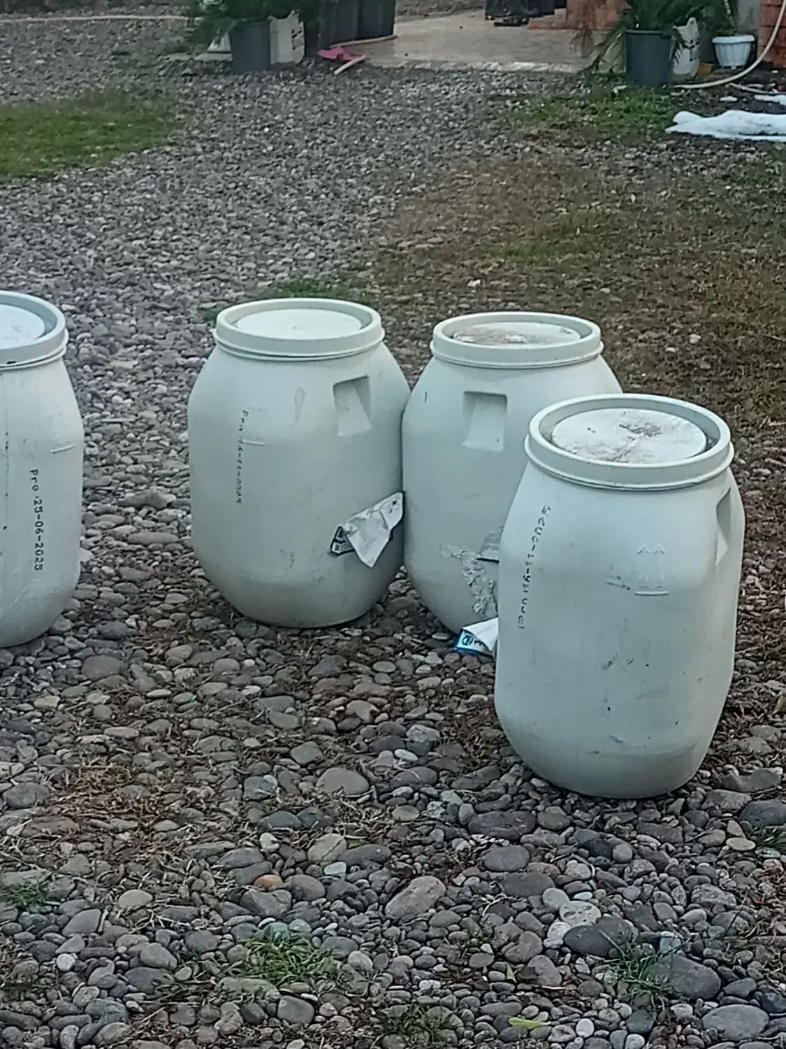 برنج صدری دودی|خوردنی و آشامیدنی|سنگر, |دیوار