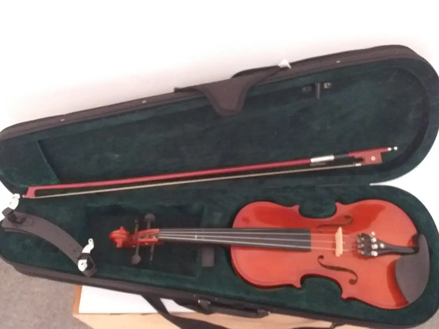 ویولن|ویولن|سنندج, |دیوار