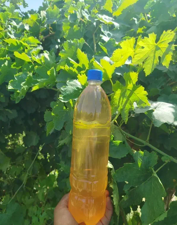 آبغوره طبیعی|خوردنی و آشامیدنی|تهران, عباسی|دیوار