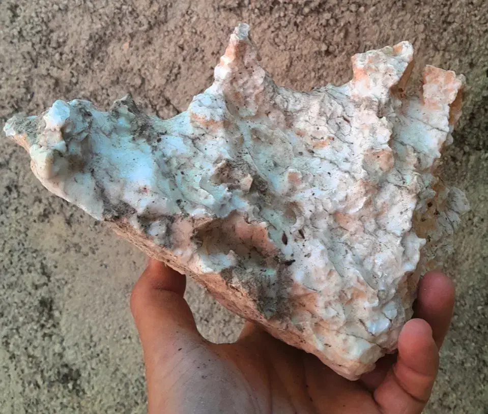 سنگ آکواریوم|ماهی|ایلام, |دیوار