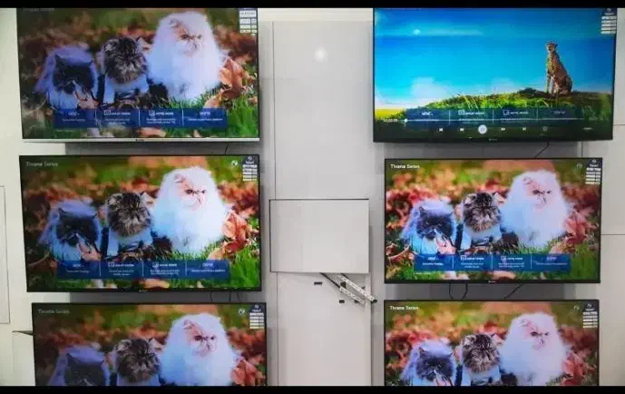 جشنواره یلدایی تلویزیون های snowa|تلویزیون و پروژکتور|شیراز, شهرک گلستان|دیوار