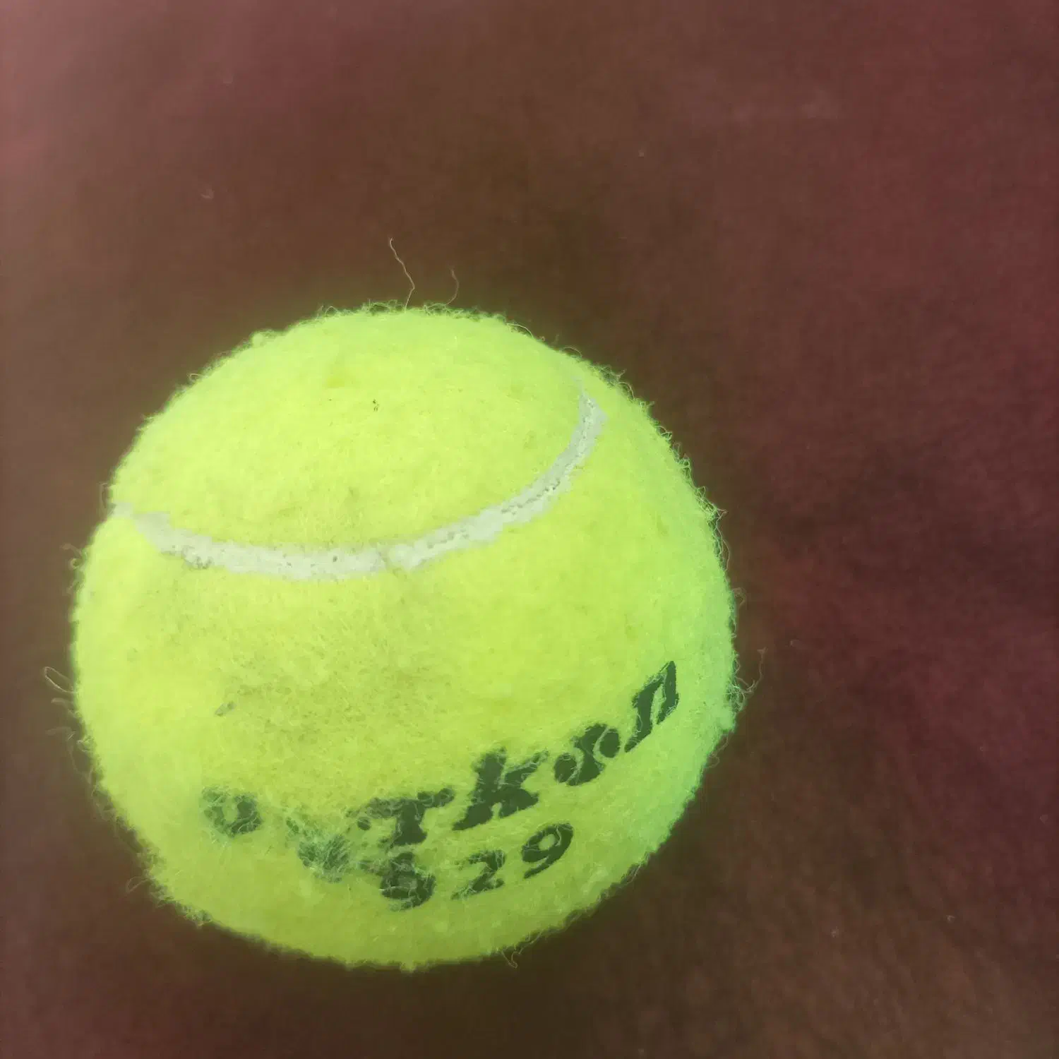 راهنمایی(والیبال)|فعالیت داوطلبانه تحقیقاتی|قزوین, |دیوار