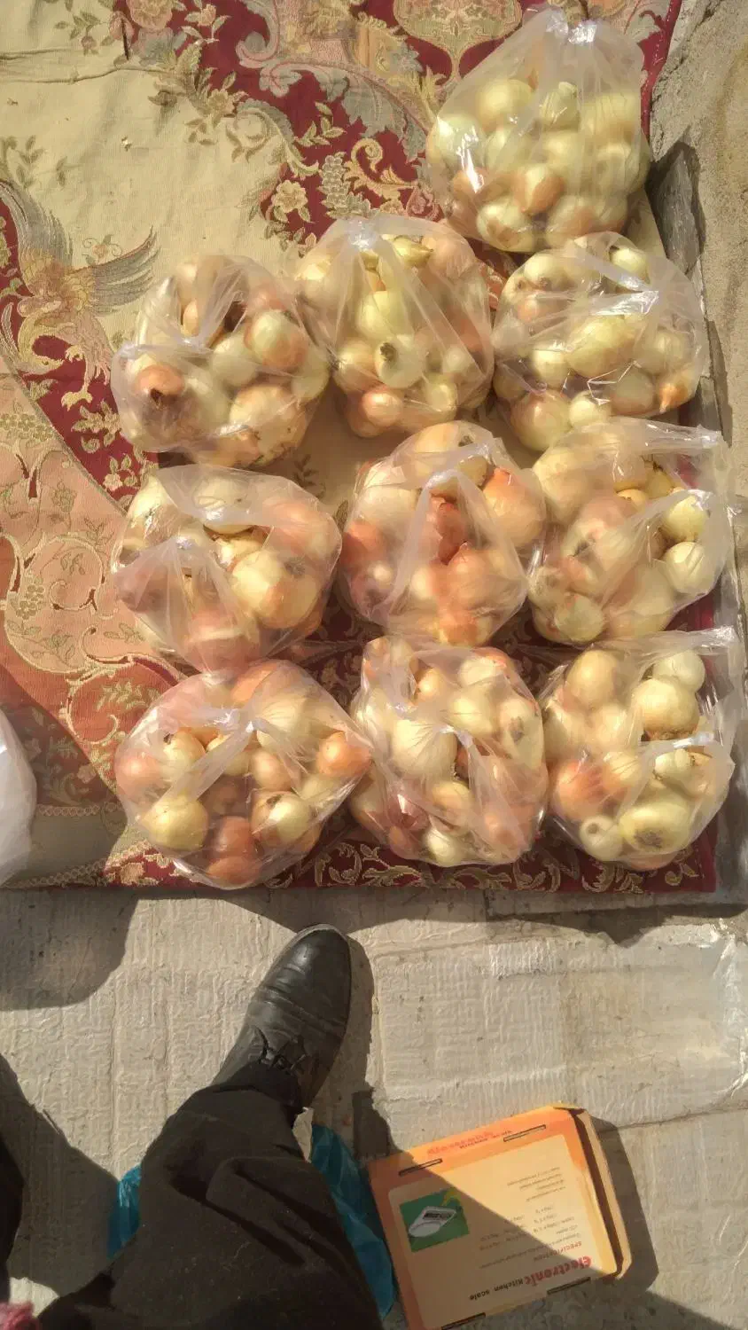 پیاز زرد کبابی درشت و متوسط|عمدهفروشی|صحنه, |دیوار