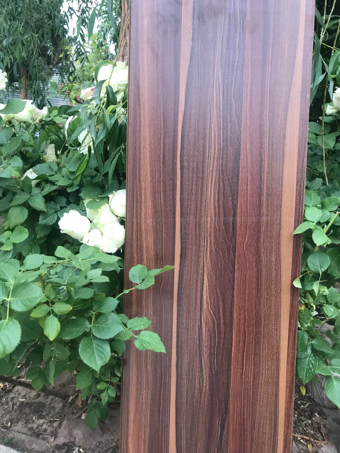 پارکت Apex المان|مصالح و تجهیزات ساختمان|کرمان, |دیوار