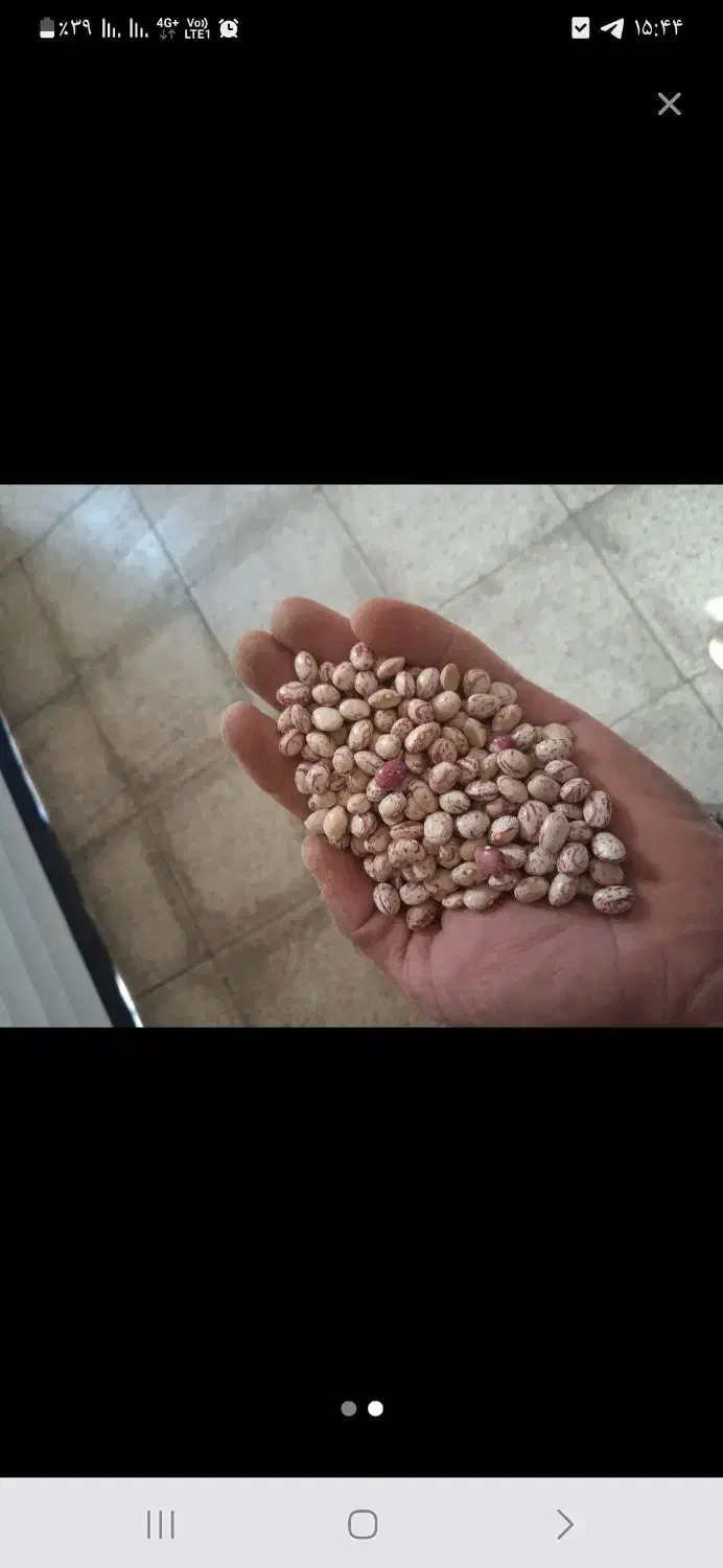 لوبیاچیتی|خوردنی و آشامیدنی|اسلامشهر, شهرک لاله|دیوار