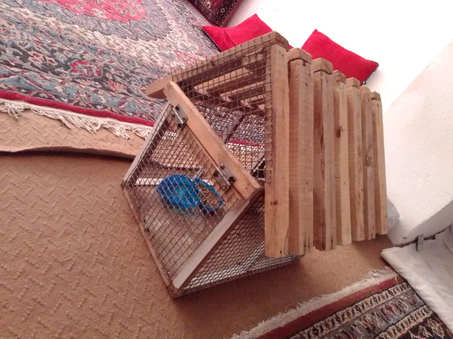 قفس چوبی محکم طرح کلبه|لوازم جانبی حیوانات|نجف‌آباد, یزدانشهر|دیوار