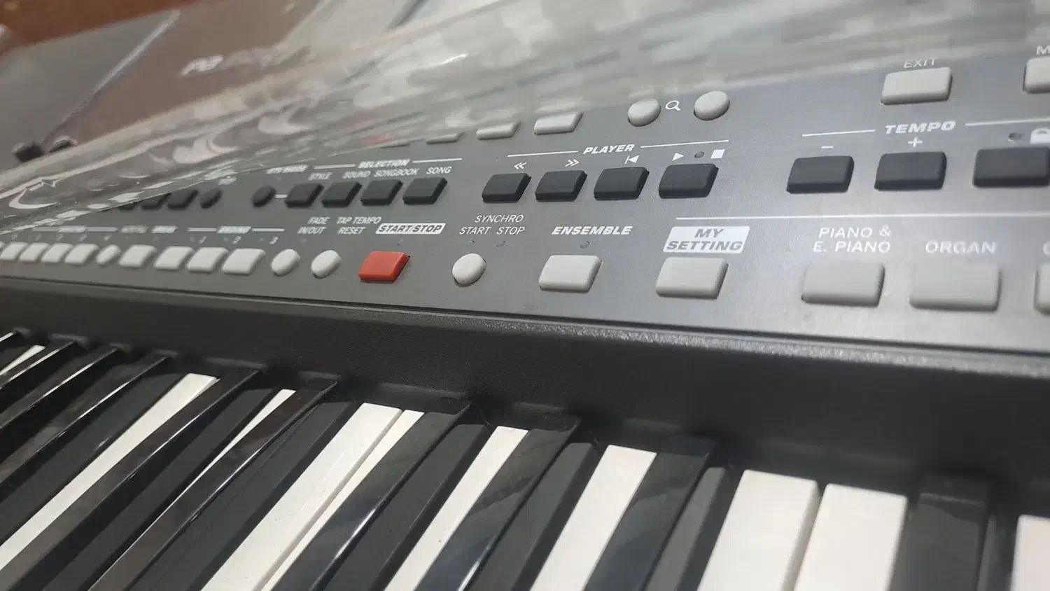 کیبورد pa600|پیانو، کیبورد، آکاردئون|لنگرود, |دیوار