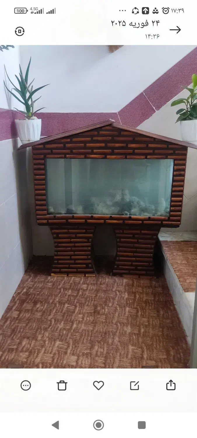 آکواریم چوبی بسیار زیبا|ماهی|زنجان, |دیوار