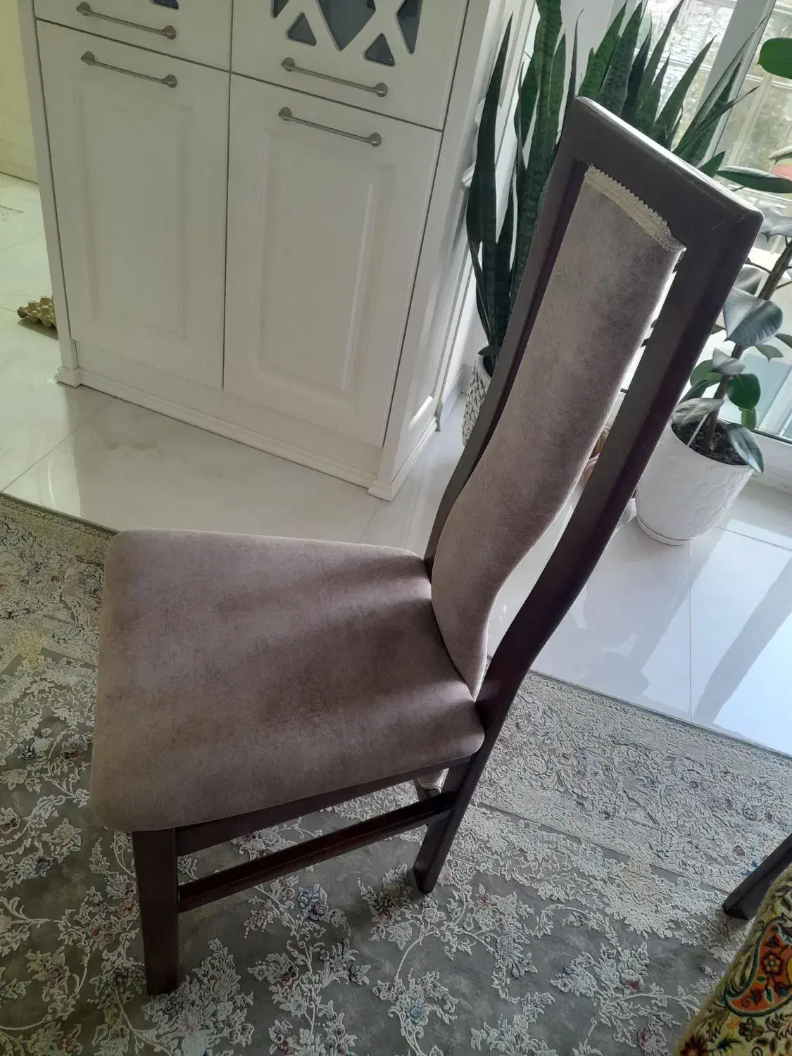 غذاخوری۴ نفره شیک|میز و صندلی غذاخوری|ساری, |دیوار