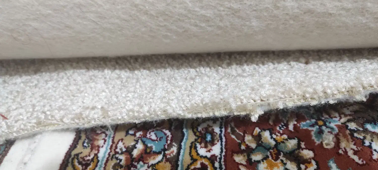 پالاز موکت|موکت|گلبهار, نوبهار|دیوار