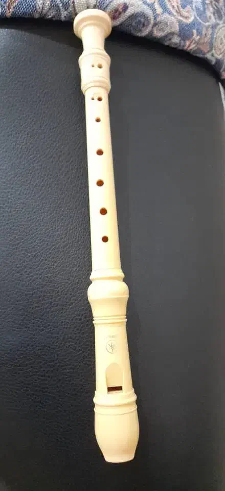 نی انبان یاماها|سازهای بادی|بوشهر, |دیوار