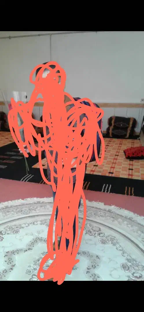 گلیم فرش سالم سالم زیاد استفاده نشده|گلیم، جاجیم، گبه|یاسوج, |دیوار