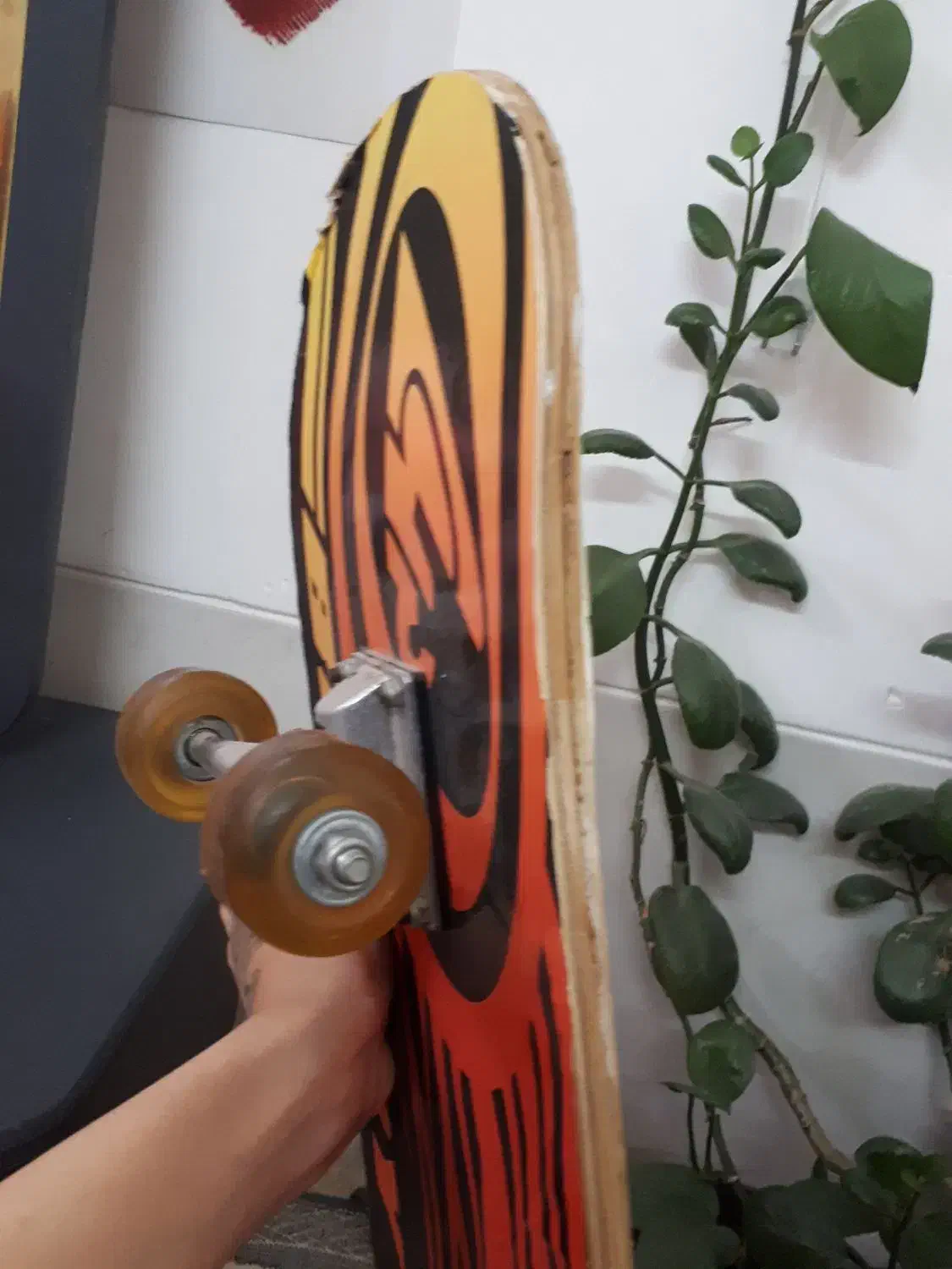 اسکیت برد|دوچرخه، اسکیت، اسکوتر|یزد, |دیوار