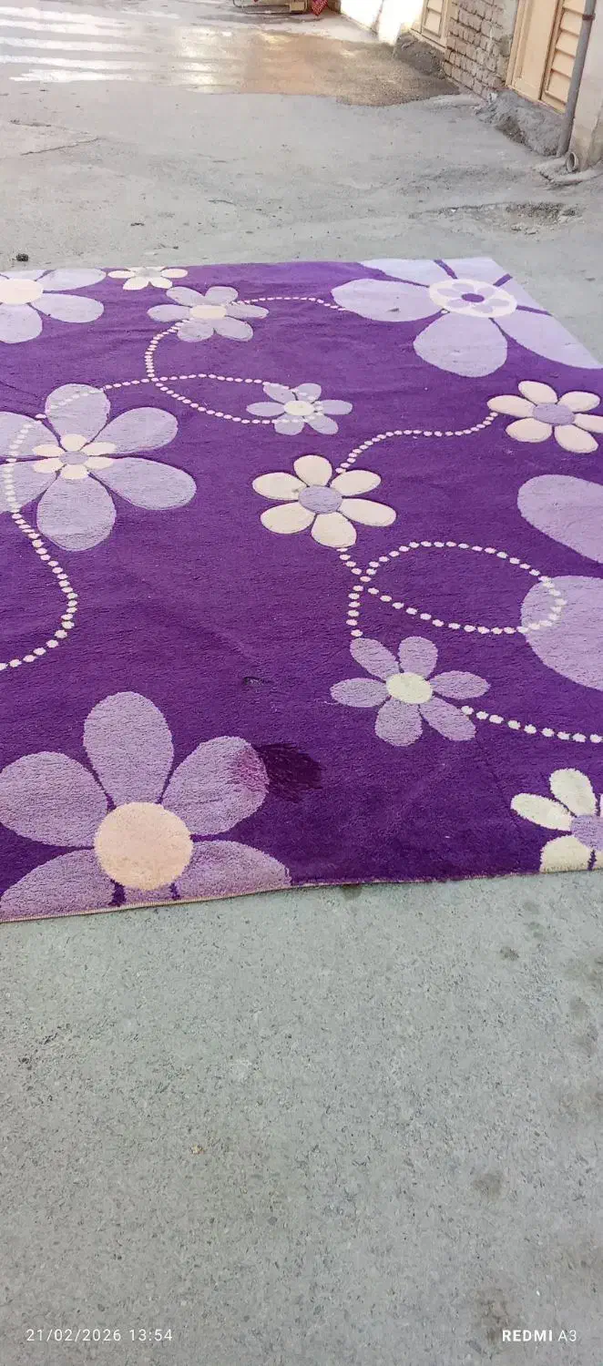 فرش دست دوم|فرش|ارومیه, |دیوار