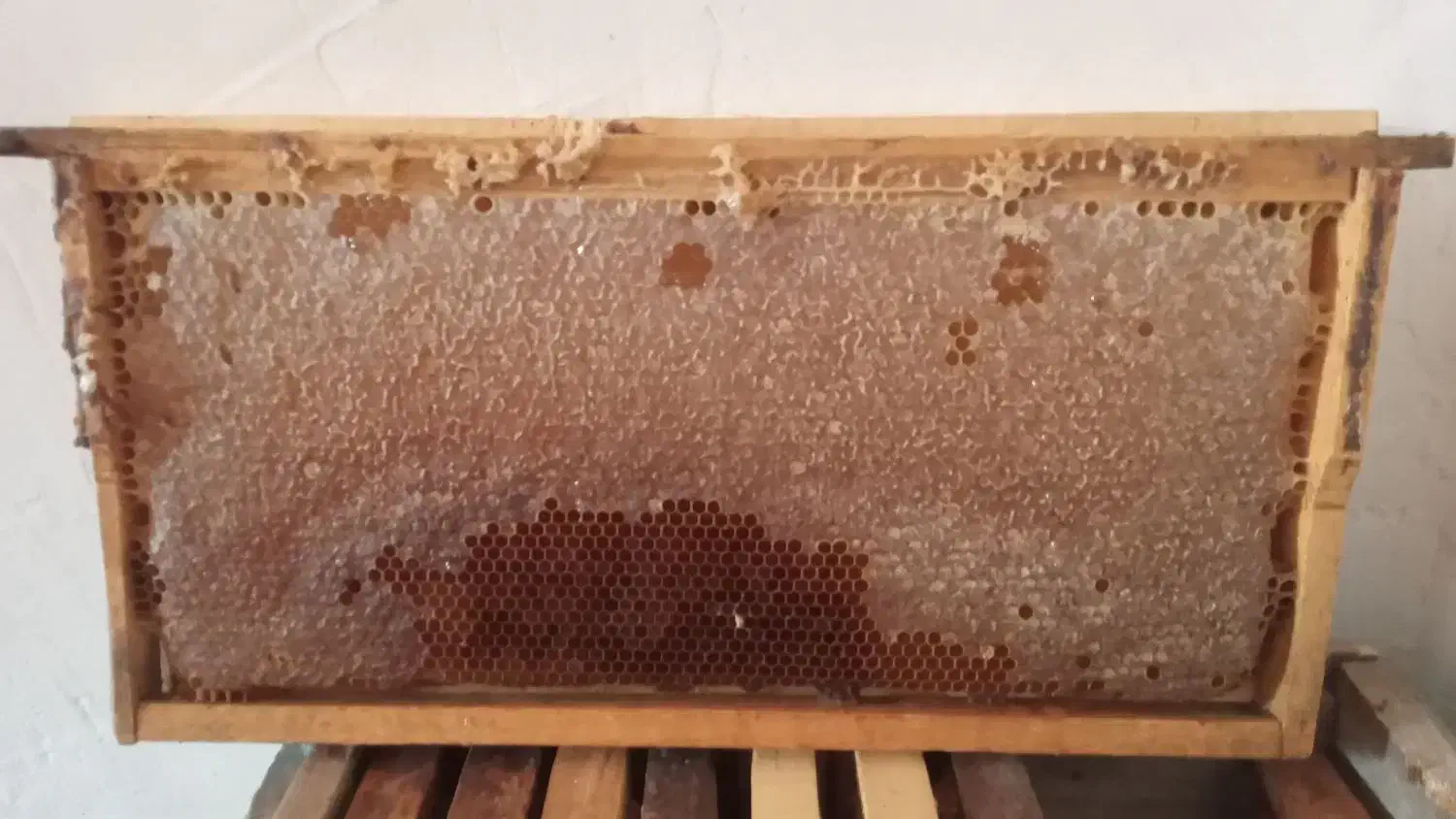 عسل با موم|خوردنی و آشامیدنی|لالی, |دیوار