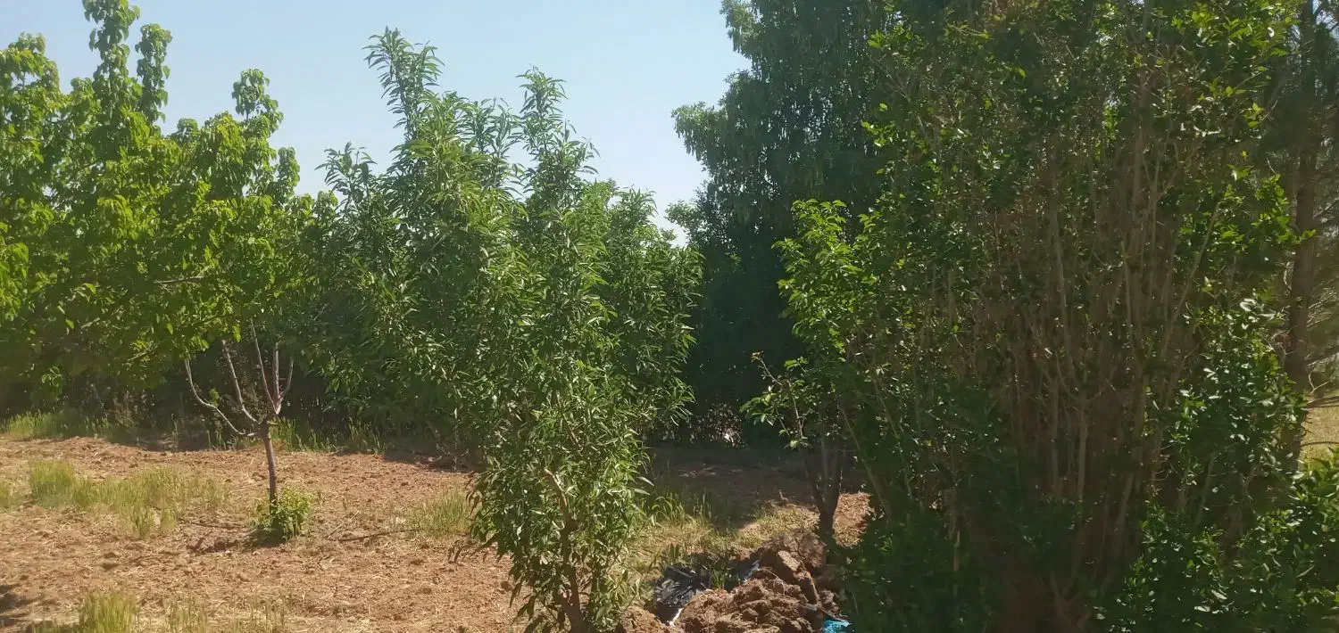 باغسندتکبرگ آبکشاورزی برق،سهیلیه،زعفرانیه،زکی آباد|فروش زمین و ملک کلنگی|کرج, فاز ۲ مهرشهر|دیوار