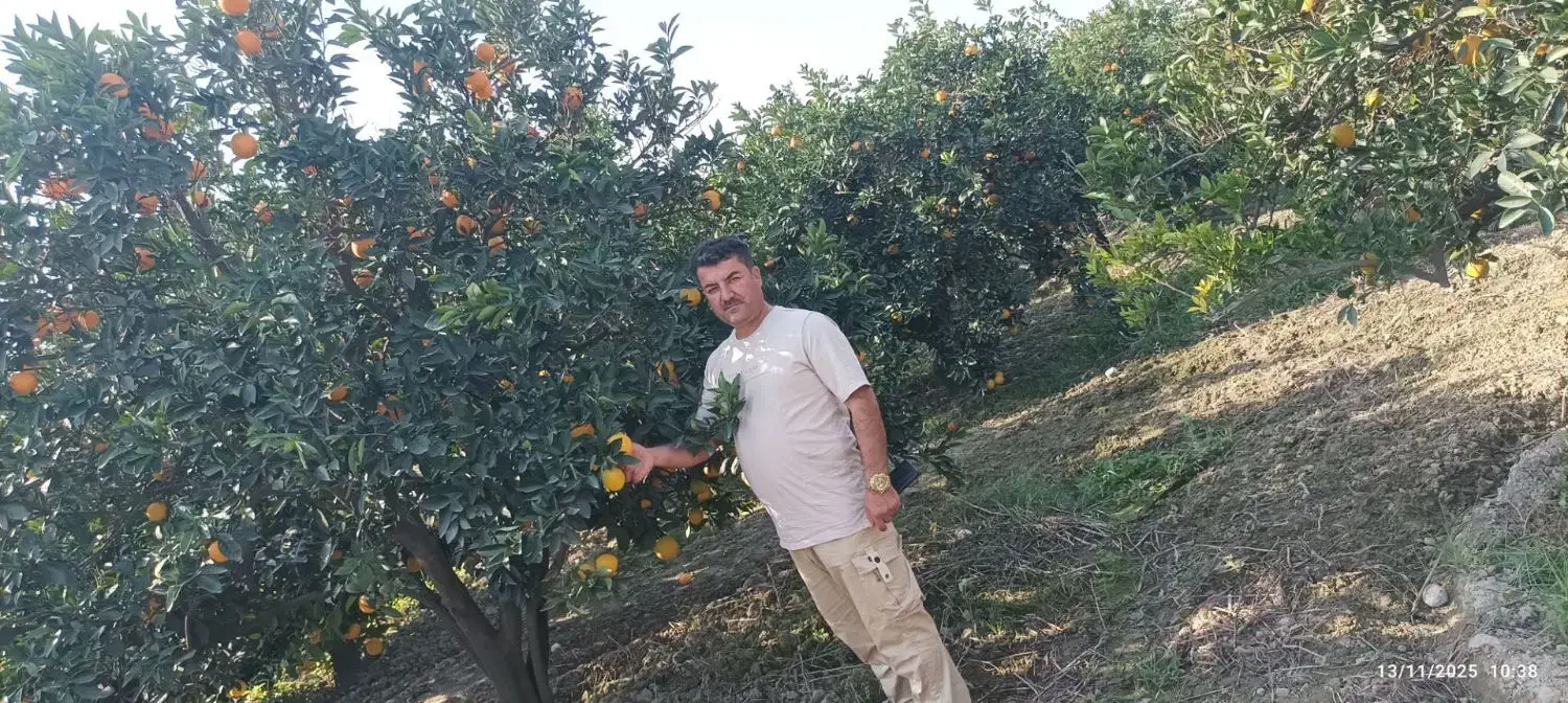 نهال اصلاح شده|گل و گیاه طبیعی|رشت, پل تالشان|دیوار