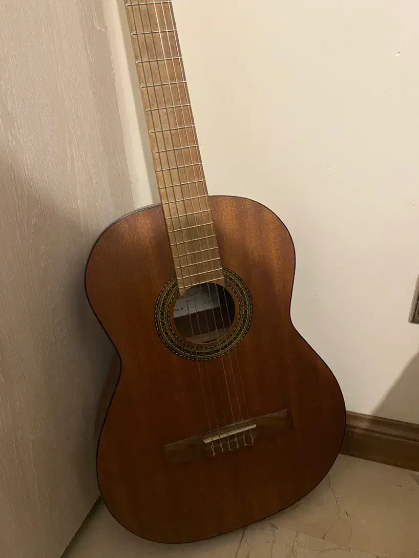 گیتار|گیتار، بیس، امپلیفایر|تهران, پونک|دیوار