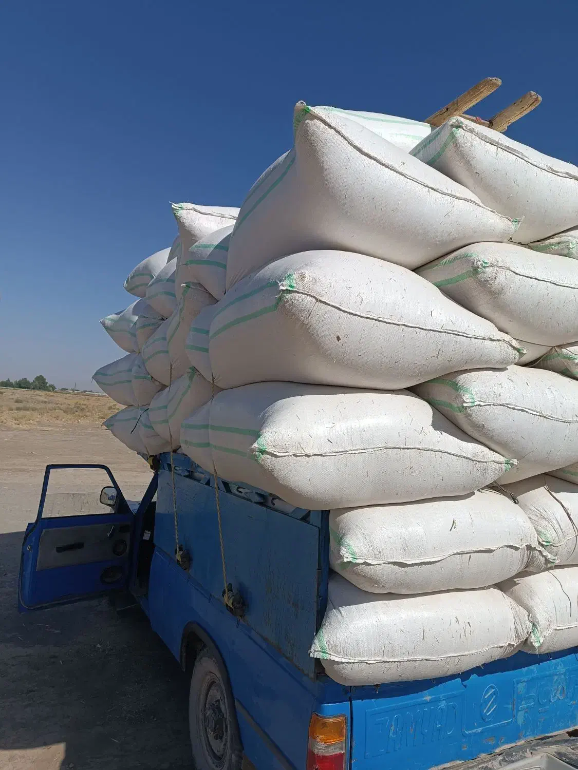 کاه گندم|حیوانات مزرعه|نیشابور, دهنو|دیوار