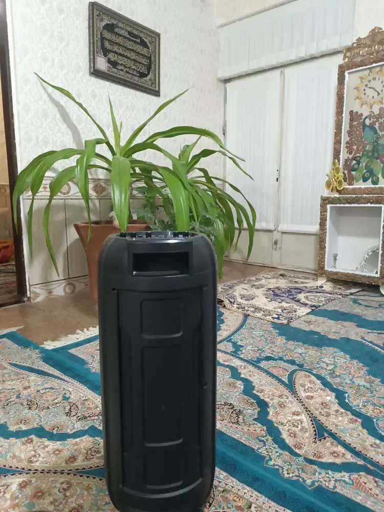 اسپیکر|سیستم صوتی خانگی|رفسنجان, |دیوار