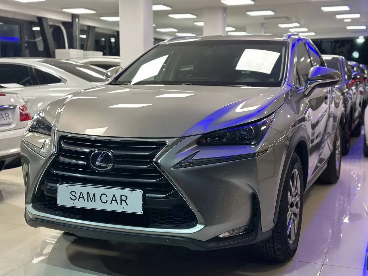 لکسوس NX300h مدل 2017 لاکچری|خودرو سواری و وانت|تهران, درختی|دیوار