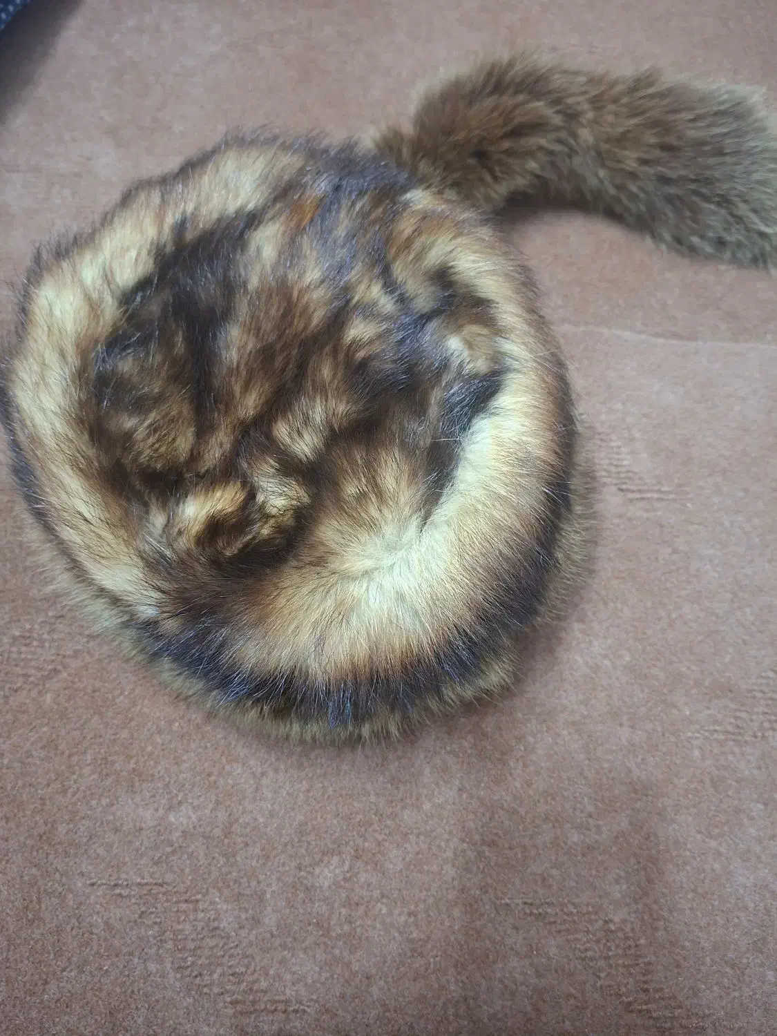 کلاه پشمی روسی زنانه اصلی نو نو نو|لباس|قم, زاویه|دیوار