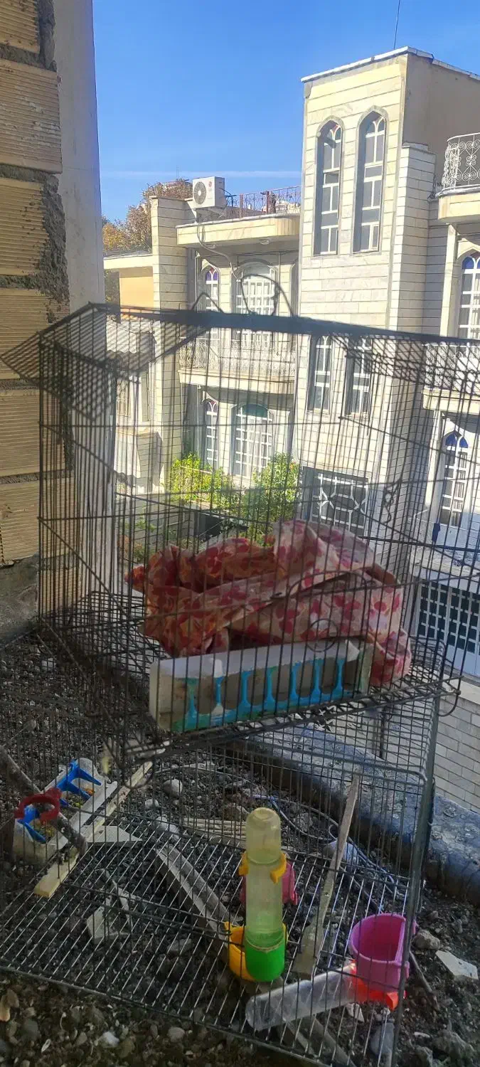 قفس بزرگ و کوچک|لوازم جانبی حیوانات|بروجرد, |دیوار