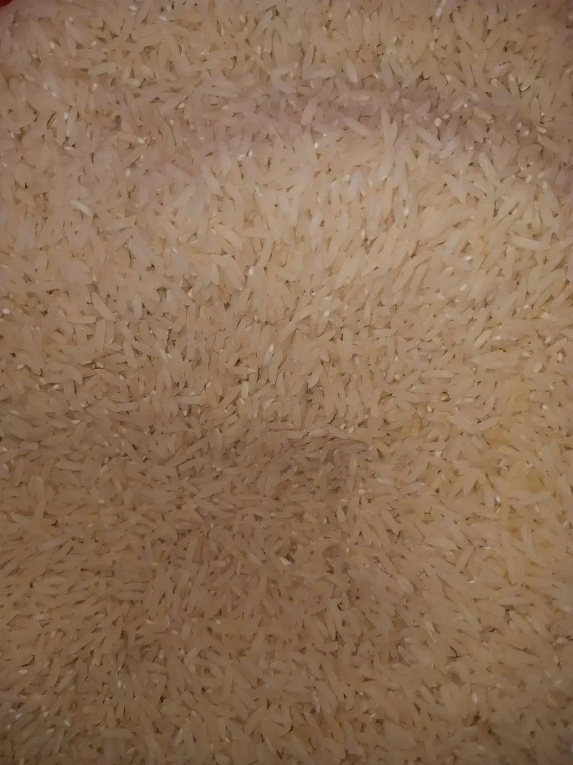 برنج شیرین دره ،درجه یک|عمدهفروشی|بجنورد, |دیوار