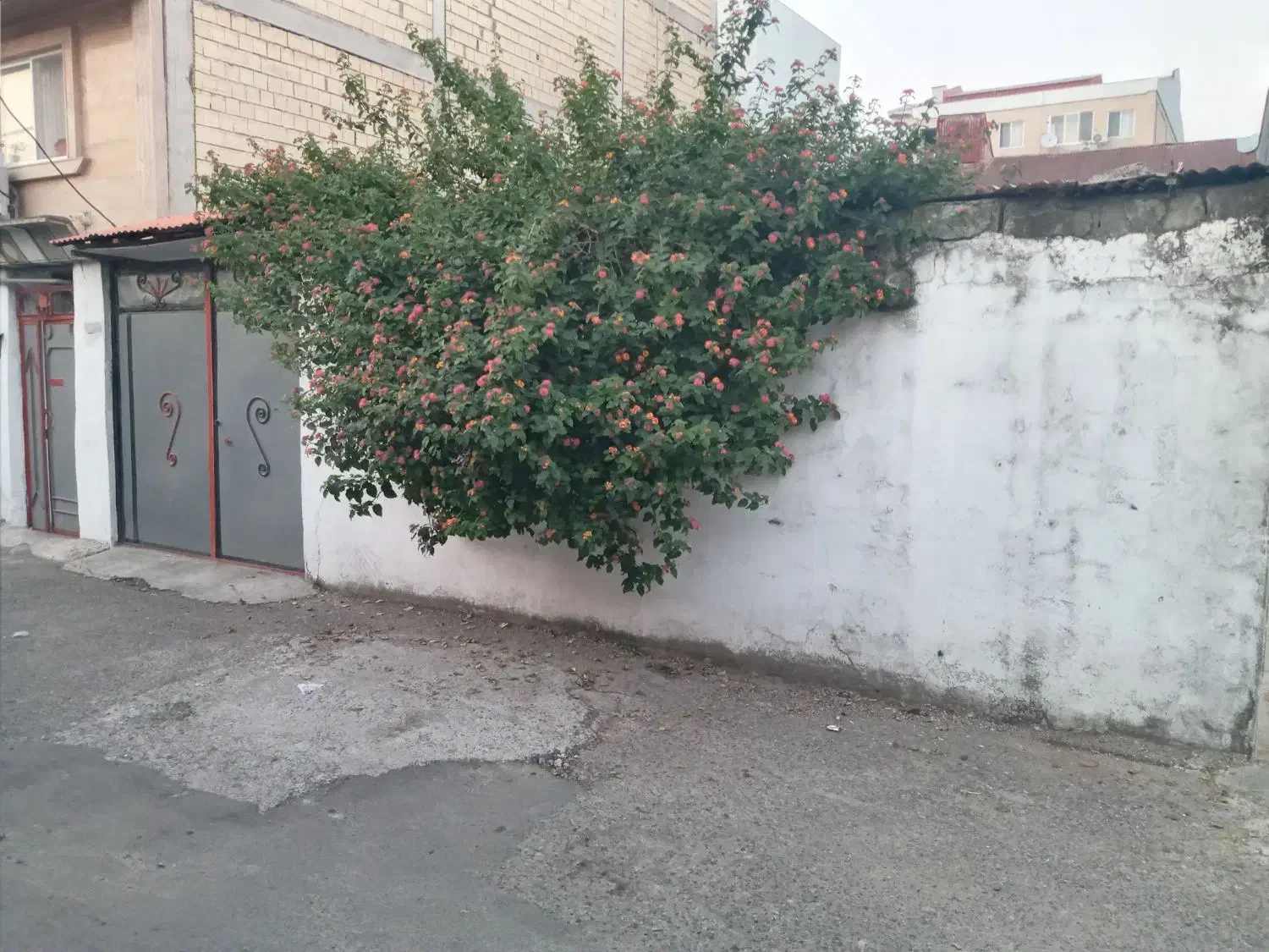 خانه ویلایی ۱۶۵ متری|فروش خانه و ویلا|رشت, شالکو|دیوار