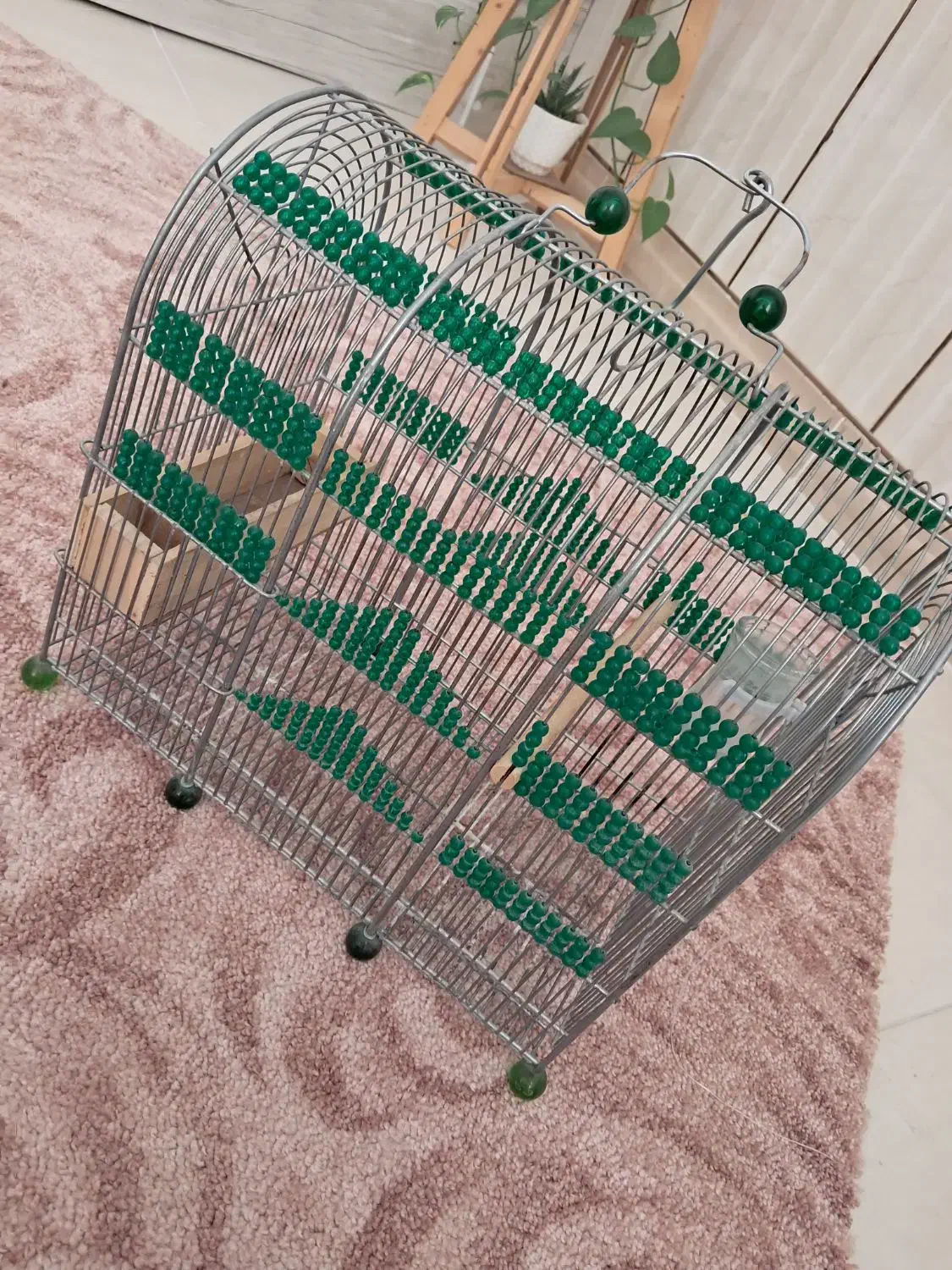 قفس سهره مهره سبز|لوازم جانبی حیوانات|مرودشت, ثبت احوال|دیوار