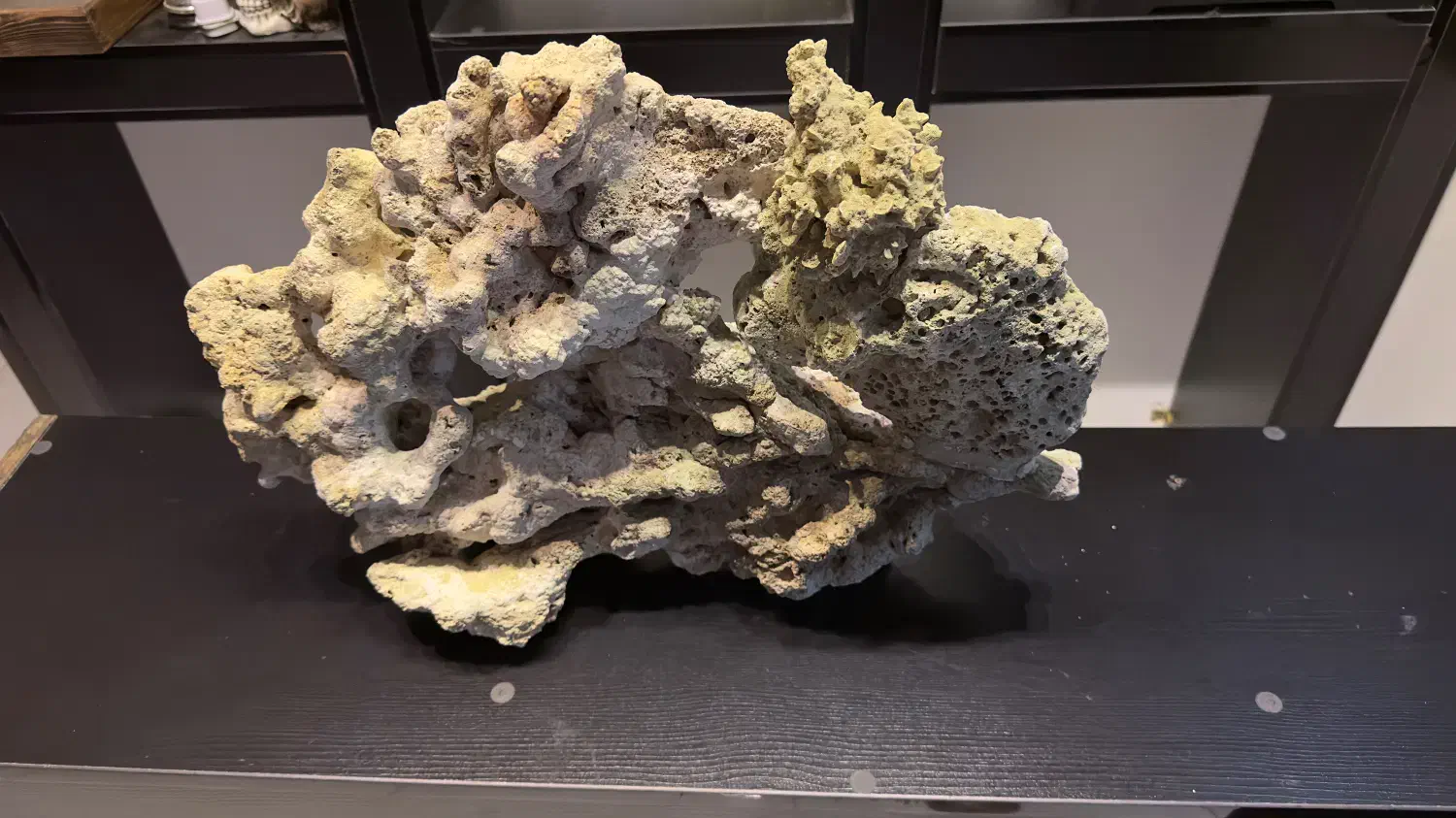 لایوراک|ماهی|تهران, آسمان|دیوار