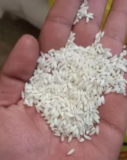 برنج عنبر بو درجه یک امسال|خوردنی و آشامیدنی|کرج, ساماندهی|دیوار