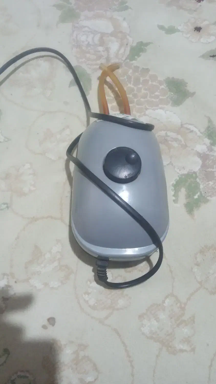 پمپ هوا اکواریوم|ماهی|سلفچگان, |دیوار