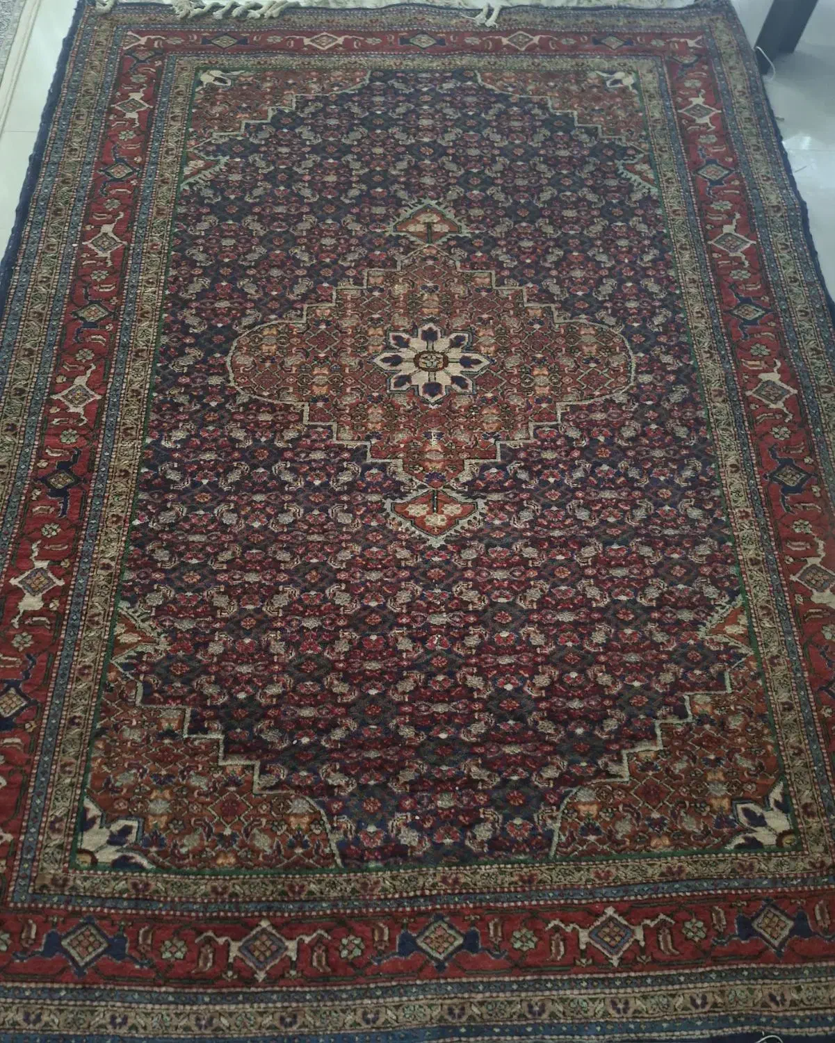 فرش طبیعی شش متری|فرش|اردبیل, |دیوار