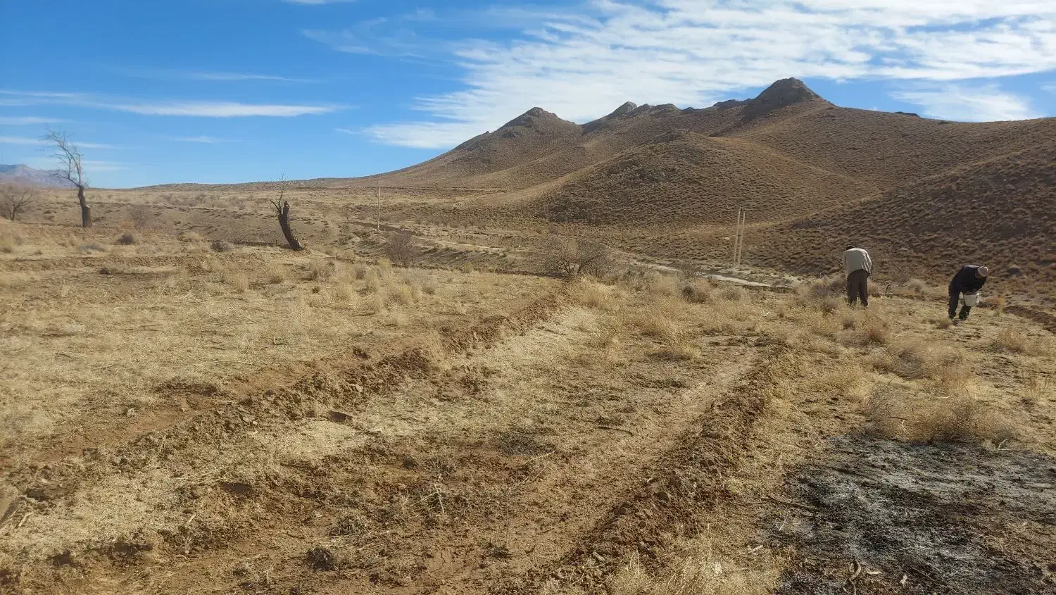 معاوضه|فروش دفتر صنعتی، کشاورزی، تجاری|یزد, |دیوار