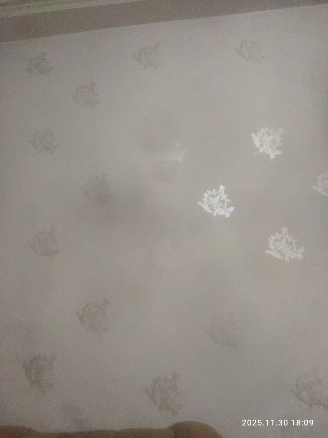 خانه|اجارهٔ خانه و ویلا|اردبیل, |دیوار