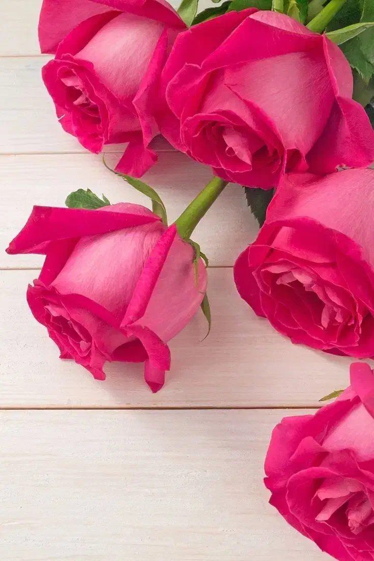 نیازمندضامن وام فرزندآوری|فعالیت داوطلبانه|کرمانشاه, |دیوار